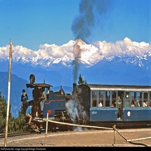 Tea and Thunder Dragon: Darjeeling with Bhutan