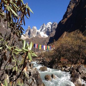 Beautiful Laya Gasa Trek