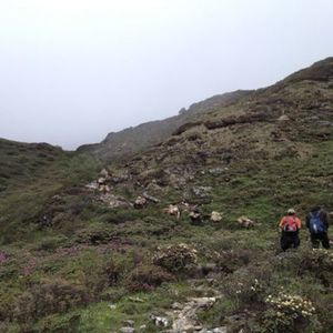 The Jomolhari Round Trek