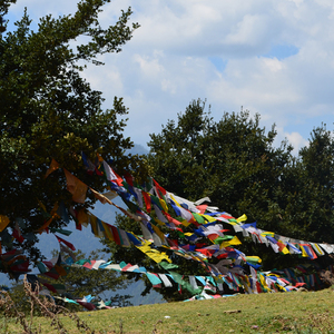 The Jomolhari Basecamp Trek