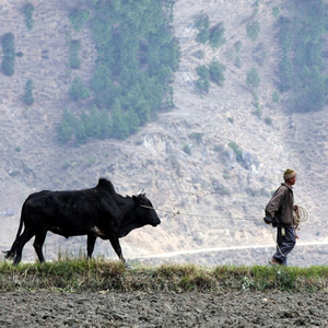 The Bumthang Cultural Trek 