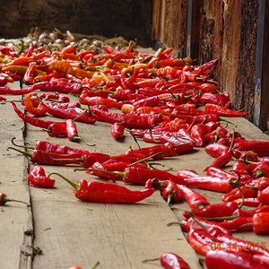 Photographing the Bhutan Valleys