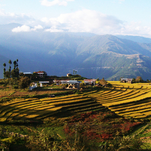 Jambay Lhakhang Drub