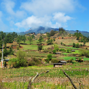 Intensive Bhutan