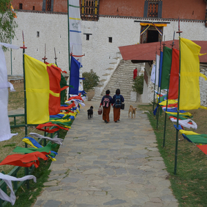 Luxurious Bhutan