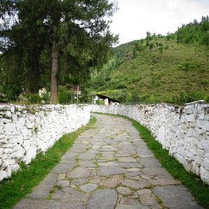 Beautiful Laya Gasa Trek