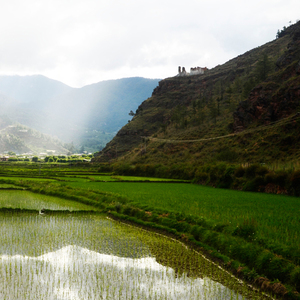 Best of Bhutan