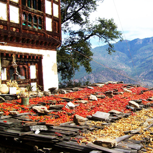 Bhutan through the lenses 