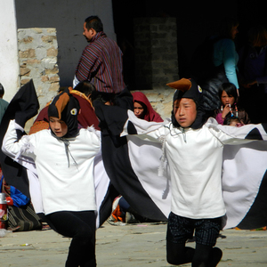 Black Necked Crane Festival