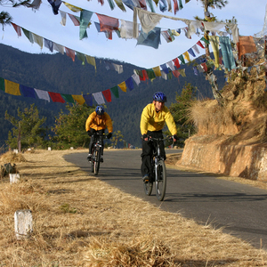 Gangtey on Cycle