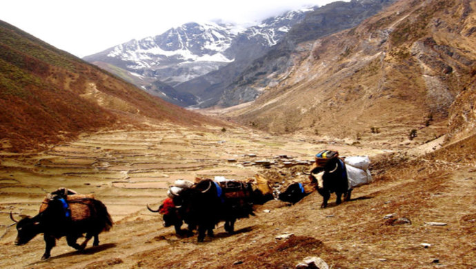 The Jomolhari Basecamp Trek