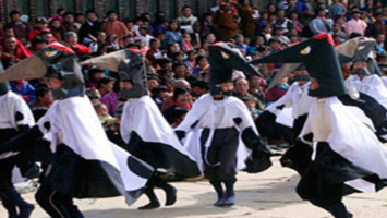 Black Necked Crane Festival